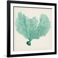 Sea Fan VI-Vision Studio-Framed Art Print