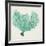 Sea Fan VI-Vision Studio-Framed Art Print