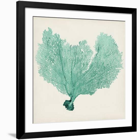 Sea Fan VI-Vision Studio-Framed Art Print