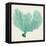 Sea Fan VI-Vision Studio-Framed Stretched Canvas