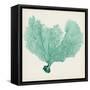 Sea Fan VI-Vision Studio-Framed Stretched Canvas