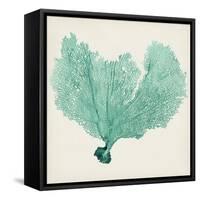 Sea Fan VI-Vision Studio-Framed Stretched Canvas