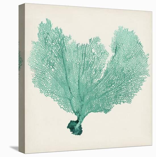 Sea Fan VI-Vision Studio-Stretched Canvas