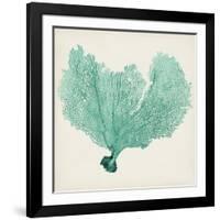 Sea Fan VI-Vision Studio-Framed Art Print