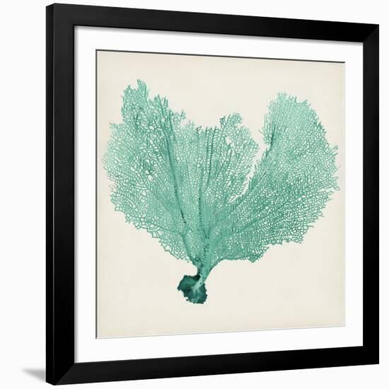 Sea Fan VI-Vision Studio-Framed Art Print