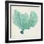 Sea Fan VI-Vision Studio-Framed Art Print