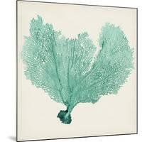 Sea Fan VI-Vision Studio-Mounted Art Print