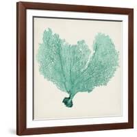 Sea Fan VI-Vision Studio-Framed Art Print