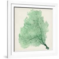 Sea Fan VII-Vision Studio-Framed Art Print