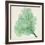 Sea Fan VII-Vision Studio-Framed Art Print