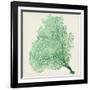 Sea Fan VII-Vision Studio-Framed Art Print