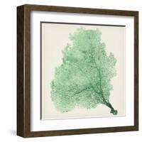 Sea Fan VII-Vision Studio-Framed Art Print