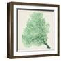 Sea Fan VII-Vision Studio-Framed Art Print