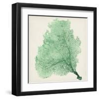 Sea Fan VII-Vision Studio-Framed Art Print