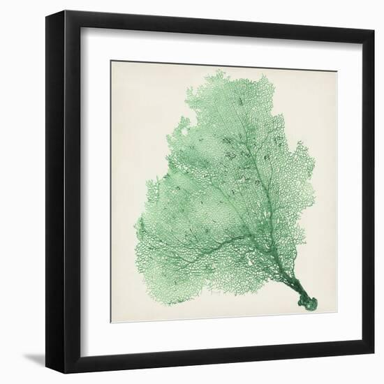 Sea Fan VII-Vision Studio-Framed Art Print