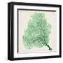 Sea Fan VII-Vision Studio-Framed Art Print