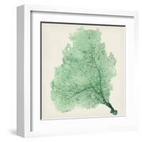 Sea Fan VII-Vision Studio-Framed Art Print