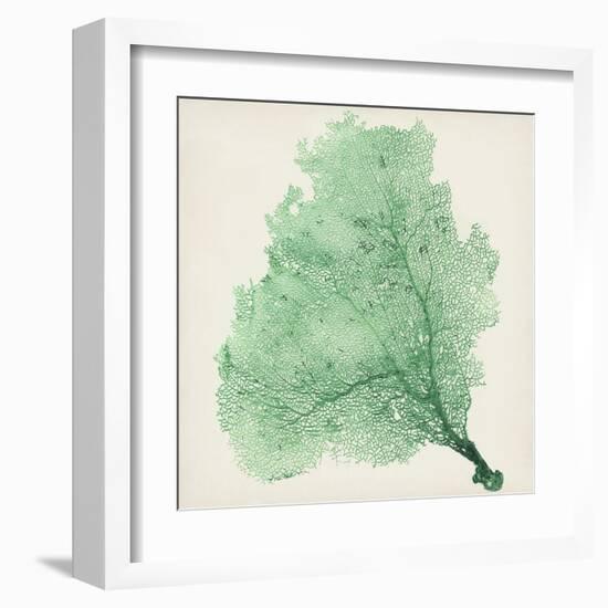 Sea Fan VII-Vision Studio-Framed Art Print