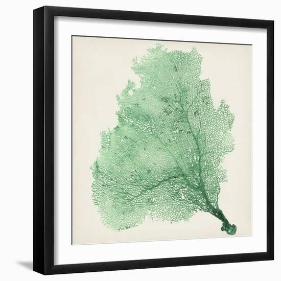 Sea Fan VII-Vision Studio-Framed Art Print