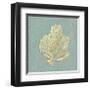 Sea Fan-Lisa Danielle-Framed Giclee Print