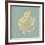 Sea Fan-Lisa Danielle-Framed Giclee Print