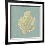 Sea Fan-Lisa Danielle-Framed Giclee Print