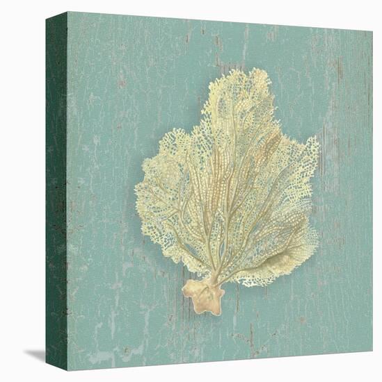 Sea Fan-Lisa Danielle-Stretched Canvas