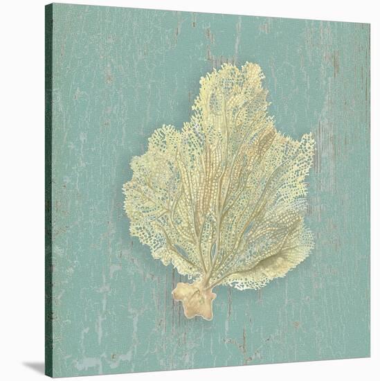 Sea Fan-Lisa Danielle-Stretched Canvas