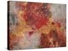 Sea Fan-Caroline Ashwood-Stretched Canvas