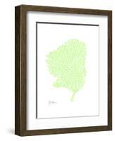 Sea Fan-Albert Koetsier-Framed Art Print