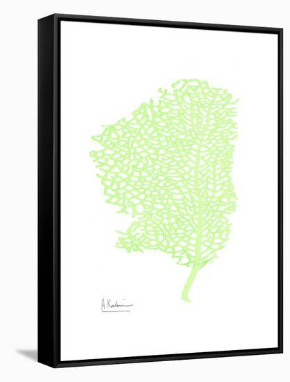 Sea Fan-Albert Koetsier-Framed Stretched Canvas