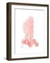 Sea Fan-Albert Koetsier-Framed Premium Giclee Print