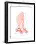 Sea Fan-Albert Koetsier-Framed Premium Giclee Print