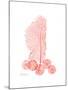 Sea Fan-Albert Koetsier-Mounted Premium Giclee Print