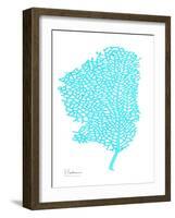 Sea Fan-Albert Koetsier-Framed Art Print