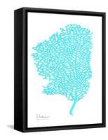 Sea Fan-Albert Koetsier-Framed Stretched Canvas