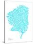 Sea Fan-Albert Koetsier-Stretched Canvas