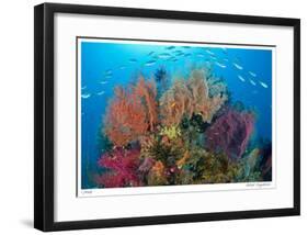 Sea Fans and Schooling Fusiliers-Jones-Shimlock-Framed Giclee Print