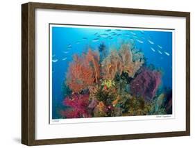 Sea Fans and Schooling Fusiliers-Jones-Shimlock-Framed Giclee Print