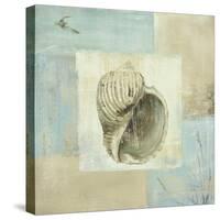 Sea Finds I-Lisa Audit-Stretched Canvas