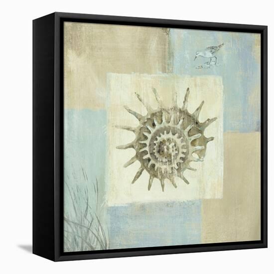 Sea Finds III-Lisa Audit-Framed Stretched Canvas