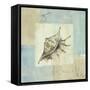 Sea Finds IV-Lisa Audit-Framed Stretched Canvas