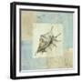 Sea Finds IV-Lisa Audit-Framed Giclee Print