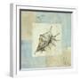 Sea Finds IV-Lisa Audit-Framed Giclee Print