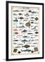 Sea Fish-null-Framed Premium Giclee Print