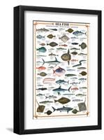 Sea Fish-null-Framed Premium Giclee Print