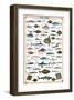 Sea Fish-null-Framed Premium Giclee Print