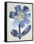 Sea Flower I-Chariklia Zarris-Framed Stretched Canvas