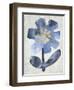 Sea Flower I-Chariklia Zarris-Framed Art Print