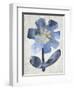 Sea Flower I-Chariklia Zarris-Framed Art Print